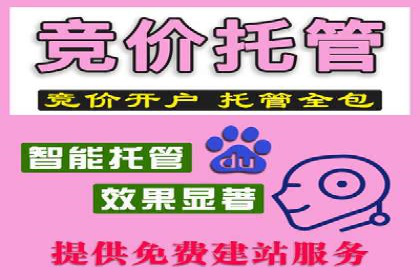 托管竞价sem全解析：某企业如何通过竞价提升业绩